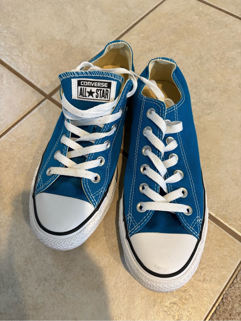Converse Low Top Sneakers - Teal
